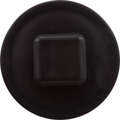 CARVIN POOL EQUIPMENT Carvin Pool Equipment 43309202R 2-inch Plug with Gasket/O-Ring