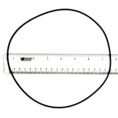 FRANKLIN ELECTRIC Franklin Electric 928004 Sump Pump Volute Seal Ring