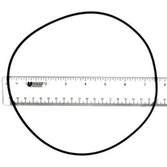 FRANKLIN ELECTRIC Franklin Electric 928004 Sump Pump Volute Seal Ring