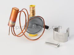 HAYWARD HAYWARD HPX15012842 Thermostatic Expansion Valve