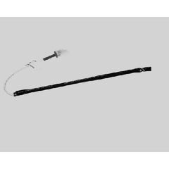 225206049.webp