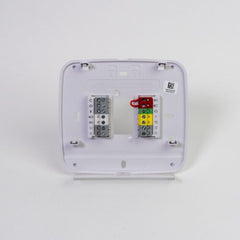 225206787.jpg