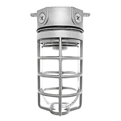 RAB DESIGN LIGHTING RAB Design Lighting VX100DG Vaporproof Incandescent Light Fixture