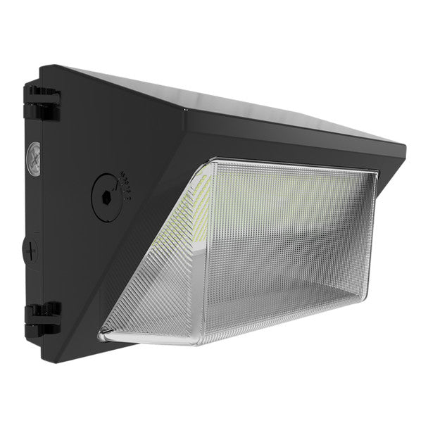 RAB LIGHTING RAB Lighting W22-M-100 LED Wall Pack 100W