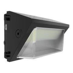 RAB LIGHTING RAB Lighting W22-M-100 LED Wall Pack 100W