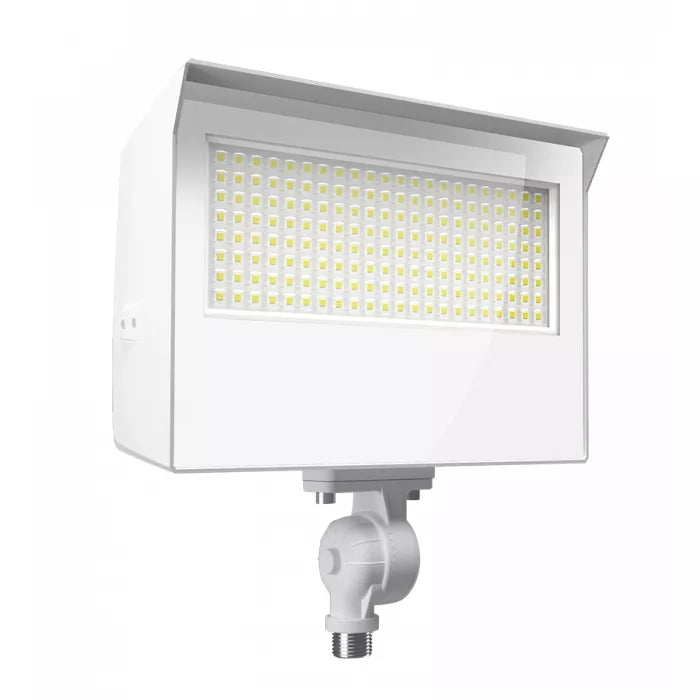 RAB LIGHTING X22-80W LIGHTING, CONTROLS & ACCESSORIES