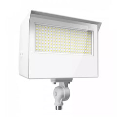 RAB LIGHTING X22-80W LIGHTING, CONTROLS & ACCESSORIES