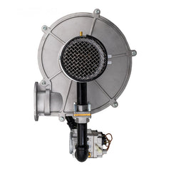 RAYPAK RAYPAK 018862F Avia 404A Natural Gas Train and Combustion Blower Kit 018862F