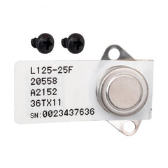 RAYPAK Raypak 019044F High Limit Thermostat Kit
