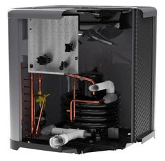 RAYPAK RAYPAK TWPH-6560EHT01 Weather King Pool & Spa Heat Pump