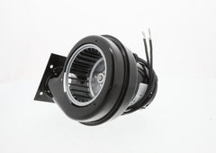 REGAL REXNORD Regal Rexnord A151 Draft Inducer Motor - 230V 1-Speed