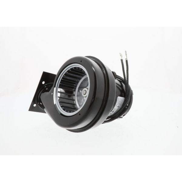 REGAL REXNORD Regal Rexnord A151 Draft Inducer Motor - 230V 1-Speed