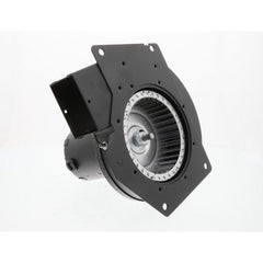 REGAL REXNORD Regal Rexnord A148 - Draft Inducer Motor