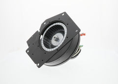 REGAL REXNORD Regal Rexnord A179 Draft Inducer Motor 115V 3.3 Frame OEM Part Number A179