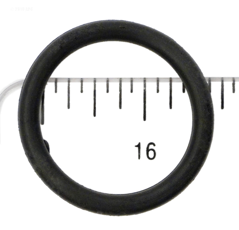 225210376.jpg