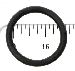 225210376.jpg