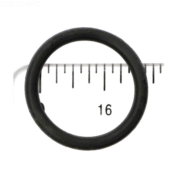 225210378.jpg