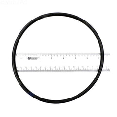 STERLING SEAL & SUPPLY Sterling Seal & Supply 441-7470 O-Ring AquaFlo Compatible