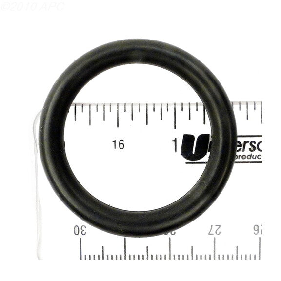 225210580.jpg