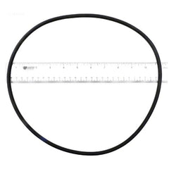 STERLING SEAL & SUPPLY Sterling Seal & Supply O-419 PacFab Pool Pump O-Ring Replacement