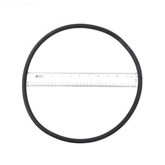 STERLING SEAL & SUPPLY STERLING SEAL & SUPPLY O-99P PacFab/Pentair O-Ring 174704