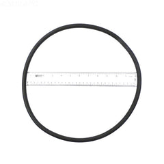 STERLING SEAL & SUPPLY STERLING SEAL & SUPPLY O-99P PacFab/Pentair O-Ring 174704