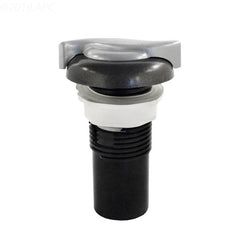 WATERWAY PLASTICS WATERWAY PLASTICS 660-3609DSG-PS 1-Inch Air Control Valve
