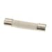 225340831.jpg