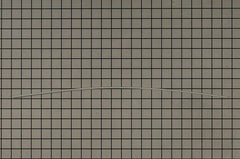225342304.webp