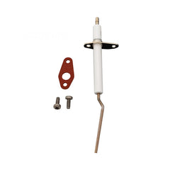 PENTAIR Pentair 462023Z Flame Sensor Kit