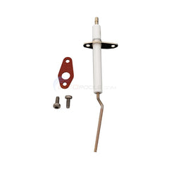 PENTAIR Pentair 462023Z Flame Sensor Kit
