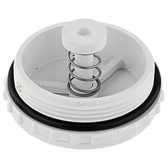 PENTAIR Pentair 506162Z Bermuda Skimmer Equalizer Valve Assembly