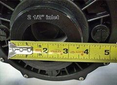 WATERWAY PLASTICS WATERWAY PLASTICS MV-40226-25 Viper 56-Frame 4.0 HP 2-Speed Spa Pump