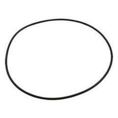 WATERWAY PLASTICS Waterway Plastics 805-0261B Executive Pump Faceplate O-Ring