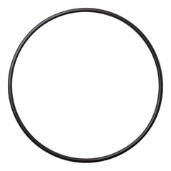 WATERWAY PLASTICS Waterway Plastics 805-0261B Executive Pump Faceplate O-Ring