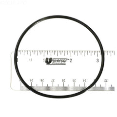 226737807.jpg