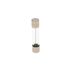 WES GARDE WES GARDE AGC-20 Glass Fuse - 20 Amp - 1-1/4 x 1/4 Inch