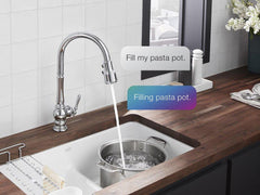 KOHLER Kohler 29709-WB-VS Artifacts PD W/ Kohler Konnect