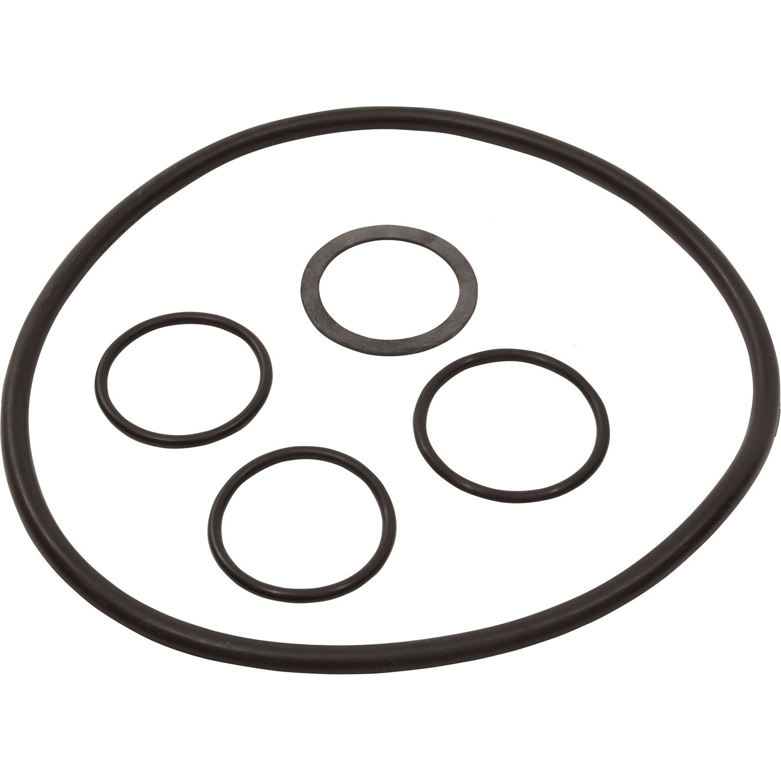 226741342.jpg