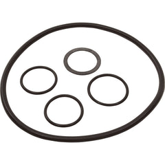 226741342.jpg