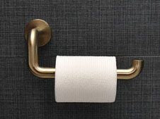 BRIZO Brizo 695035-GL Litze Tissue Holder Luxe Gold