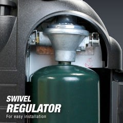 226789384.jpg