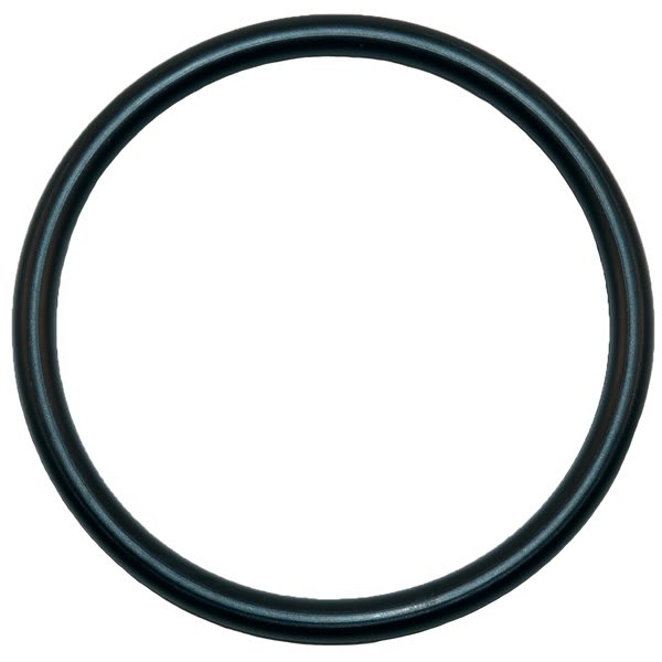 226994305.jpg
