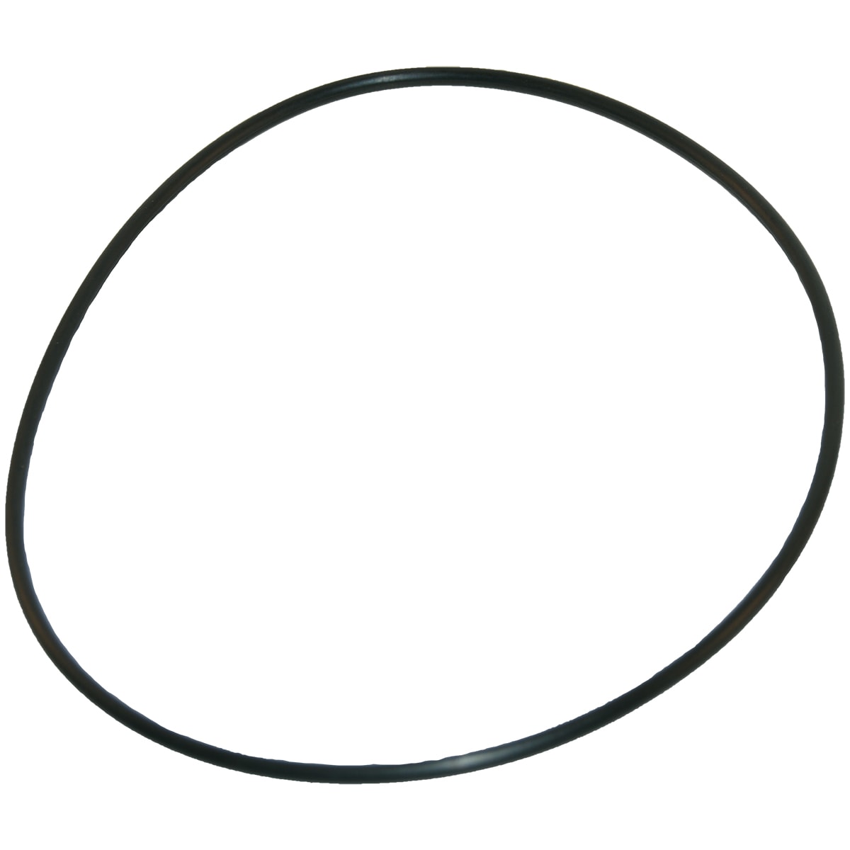 226994419.jpg