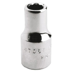 226995786.jpg