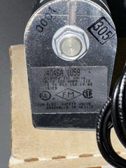 228668784.jpg