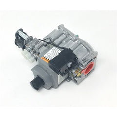 228668786.jpg