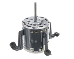 228669318.jpg
