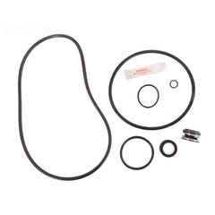 ALADDIN EQUIPMENT Aladdin Equipment APCKIT79 Sta-Rite Max-E-Pro Kit