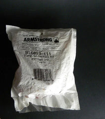 ARMSTRONG AIR Armstrong Air 816013-111 Cast Iron Flange Set